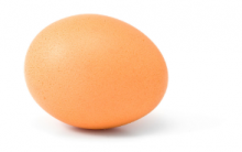 Consider the tremendous potential of the humble egg.